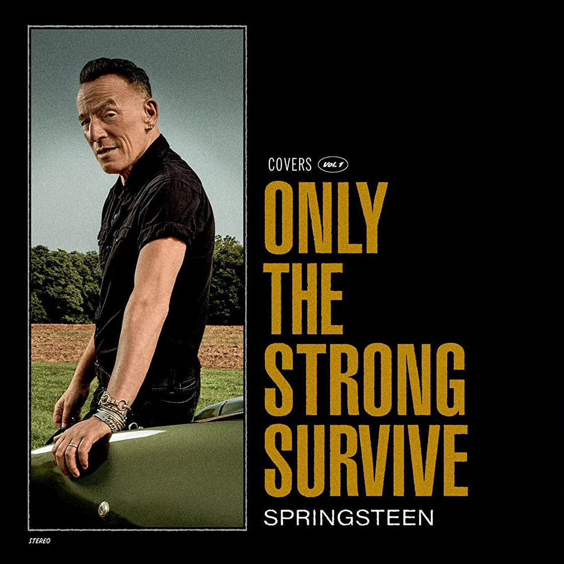 Bruce Springsteen Only the Strong Survive