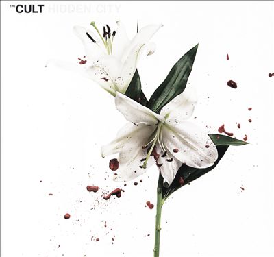 The Cult Hidden City