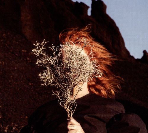 Goldfrapp Silver Eye