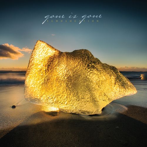 Gone Is Gone Echolocation