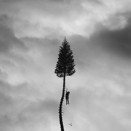 Manchester Orchestra A Black Mile to the Surface