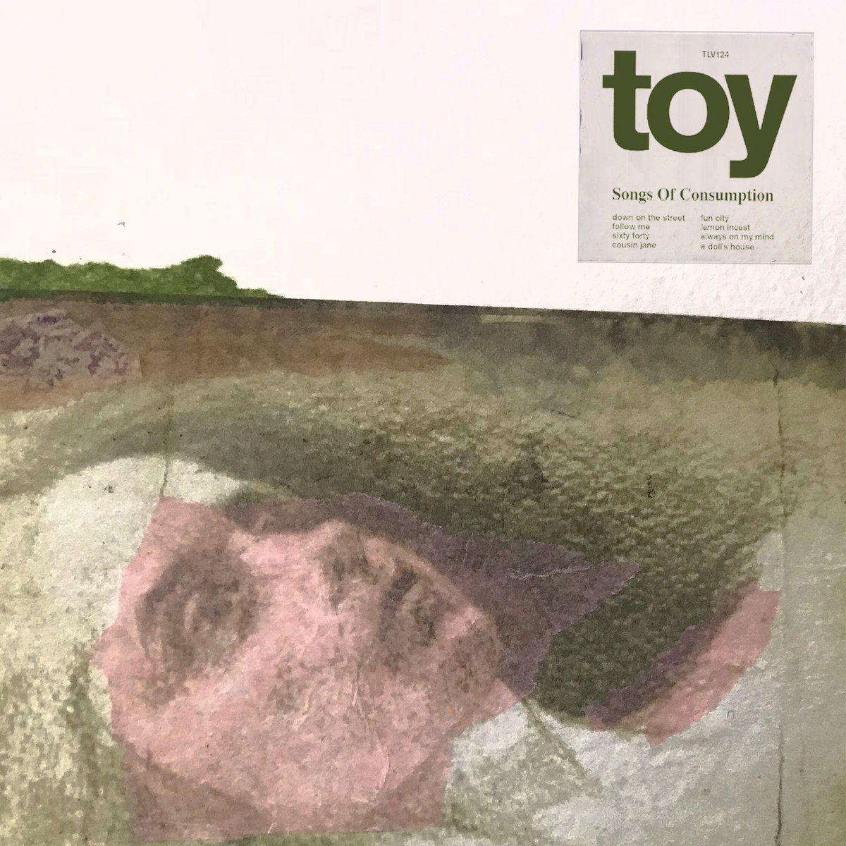 TOY Songs of Consumption