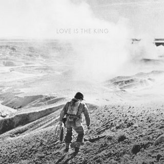 Jeff Tweedy Love Is the King
