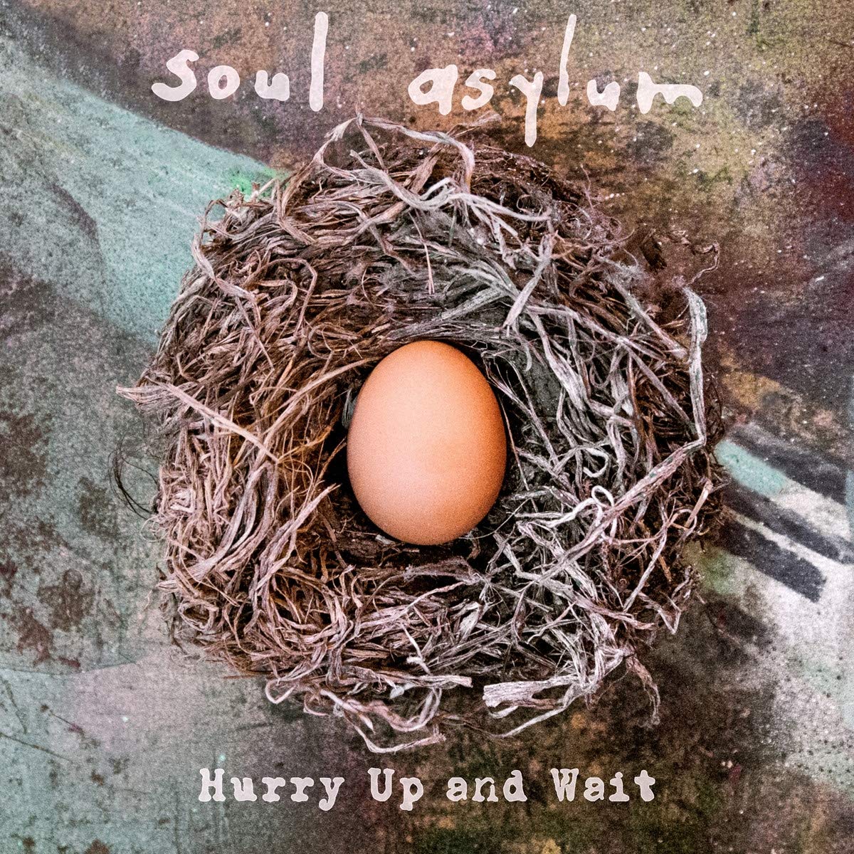Soul Asylum Hurry Up and Wait