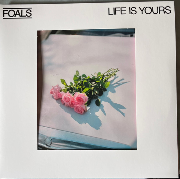 Foals Life Is Yours