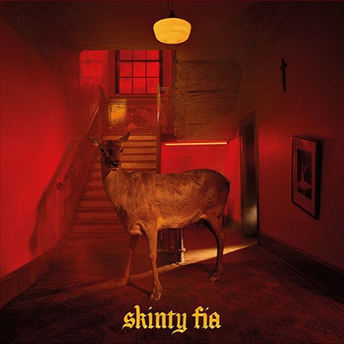 Fontaines DC Skinty Fia